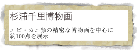 杉浦千里博物画
エビ・カニ類の精密な博物画を中心に約100点を展示