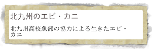 北九州のエビ・カニ
北九州高校魚部の協力による生きたエビ・カニ