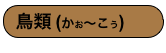 鳥類 (かお〜こう)