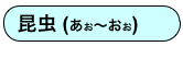 昆虫 (あお〜おお)