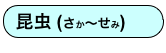 昆虫 (さか〜せみ)