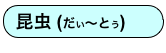 昆虫 (だい〜とう)