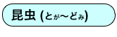 昆虫 (とが〜どみ)