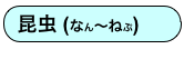 昆虫 (なん〜ねぷ)