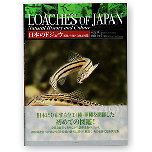 日本のドジョウ　形態・生態・文化と図鑑