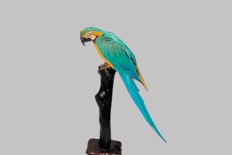 【英国名門】Country Artists ルリコンゴウインコ彫像37.5cm ルリコンゴウインコ