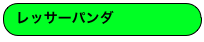 レッサーパンダ