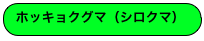 ホッキョクグマ（シロクマ）