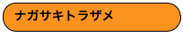 ナガサキトラザメ