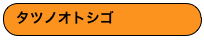 タツノオトシゴ