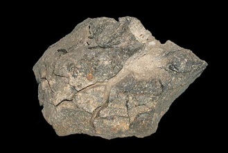 パン皮状火山弾