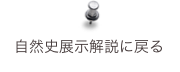 自然史展示解説に戻る