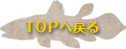 TOPへ戻る