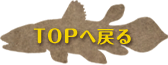 TOPへ戻る