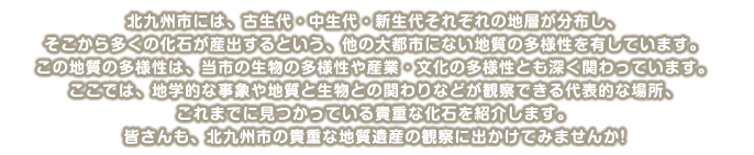 北九州市には、古生代・中生代・新生代それぞれの地層が分布し、そこから多くの化石が産出するという、他の大都市にない地質の多様性を有しています。この地質の多様性は、当市の生物の多様性や産業・文化の多様性とも深く関わっています。ここでは、地学的な事象や地質と生物との関わりなどが観察できる代表的な場所、これまでに見つかっている貴重な化石を紹介します。皆さんも、北九州市の貴重な地質遺産の観察に出かけてみませんか！